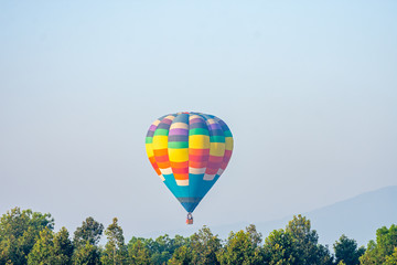 Obraz premium hot air balloon over the green paddy field. Composition of nature and blue sky background..
