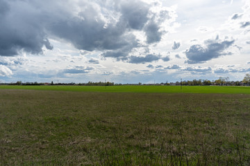 Green fields at sunny day. 