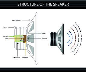structure of the speaker. speaker and coil. subject of physics lesson speaker. speaker system. infographics