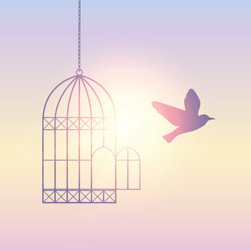 bird flies out of the cage into the sunny sky vector illustration EPS10
