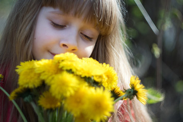 Fototapeta premium little blonde girl with a bouquet of yellow dandelions close up portrait