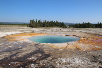 Parc Naturel de Yellowstone au Etats-Unis en plein mois d’août