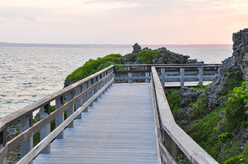 Obraz premium 宮古島の遊歩道