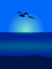 Fototapeta na wymiar Seagull silhouettes on sea scene view background
