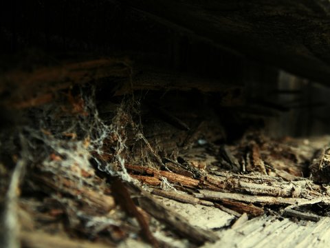 High Angle View Of Spider Web In Abandoned Room