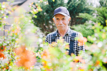 Senior gardener standing in garden. Aged man in overall and baseball cap. Portrait of old farmer