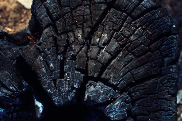 close-up, old burned  stump tree, burnt and charred to beautiful black coals with nice and sharp cracks, charred bark, looks like black rocks and mountains, covered in ashesashes