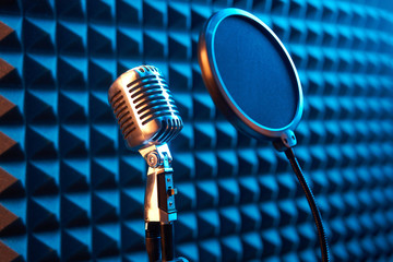 Studio condenser microphone with pop-up filter