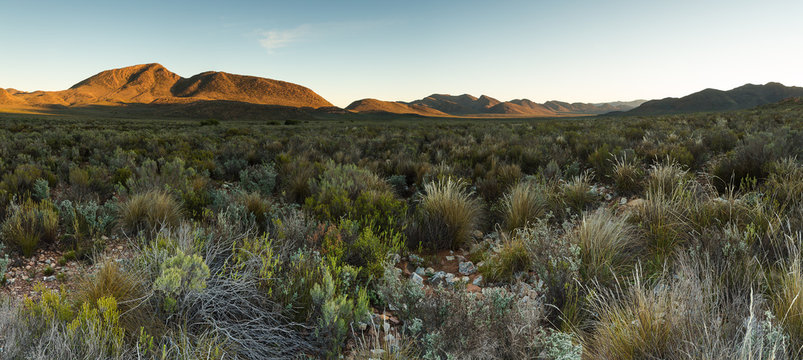Wide angle panoramic view over the plains of the karoo just outside touwsrivier in the western cape of south africa