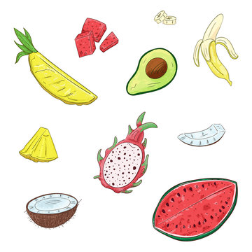Tropical fruits set. Vector isolated elements on the white background.