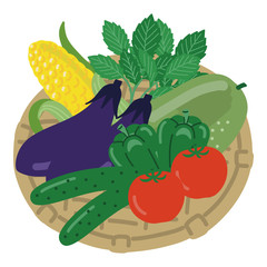 野菜　夏野菜　カゴ　セット