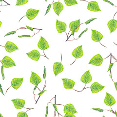 Seamless pattern of realistic young green birch. Colorful branches, leaves, buds and catkins. Watercolor hand painted isolated elements on white background.