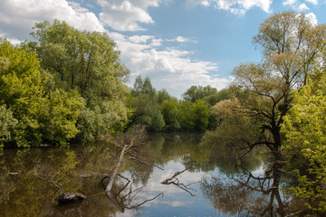 jedna z większych rzek Polski, rzeka Bug,  wspaniała dzika przyroda, błękitne niebo z...