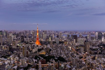 Tokyo skyline and TV Tower, Tokyo, Japan