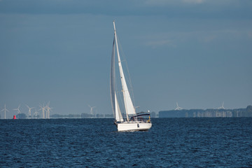 large sailing boat sailing on the Haringvliet