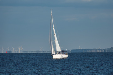 Fototapeta premium large sailing boat sailing on the Haringvliet