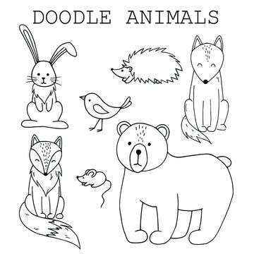 Set of cute doodle animals. Scandinavian elements set. Hand drawn. Doodle cartoon animals for nursery posters, cards, kids t-shirts. Vector illustration. Bear, fox, hare, wolf, mouse, bird, hedgehog.