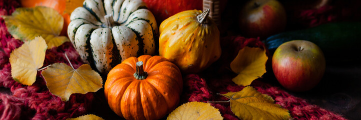 Autumn, harvest time. Composition with ripe organic pumpkins, apples, red scarf and yellow leaves....