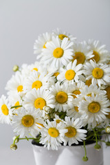 Fototapeta premium Chamomiles close up. Background and copy space
