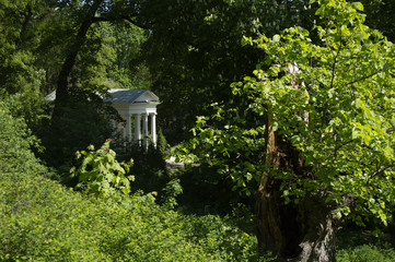 Świątynia Sybilli, Łazienki Królewskie  © felicytka