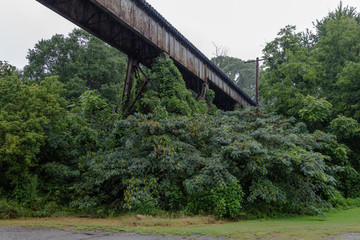 Old vintage train overpass covered in kudzu in urban Atlanta on dreary day