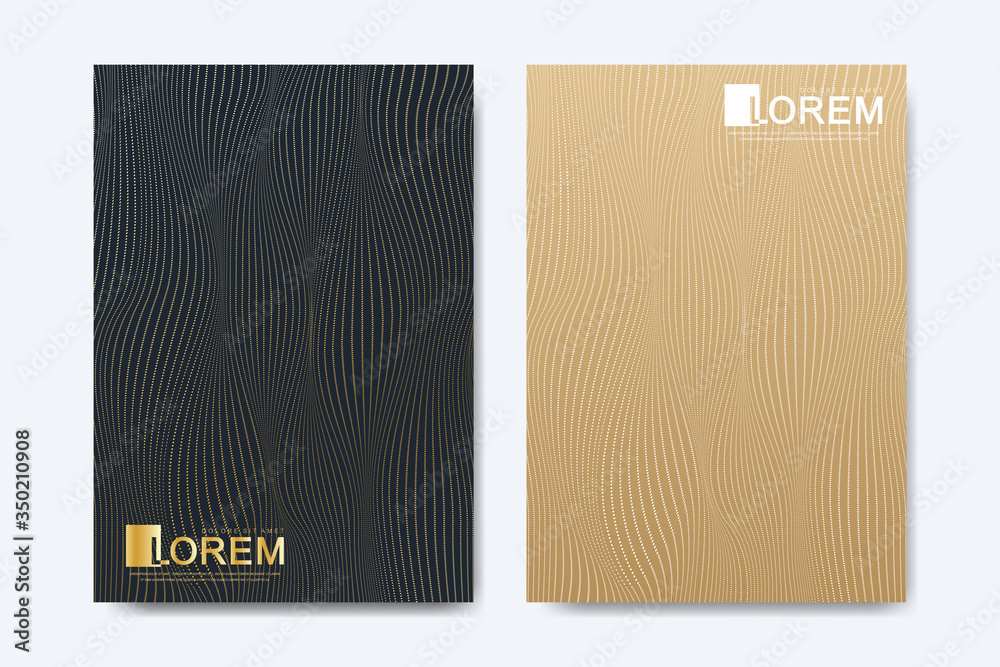 Poster Abstract geometric pattern background with lines halftone dots cover page layouts design texture. Modern colorful abstract gradient pattern background. Wave shapes halftone dots texture.