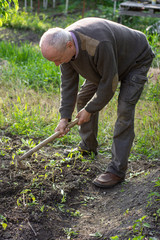 Man farmer working with hoe in vegetable garden
