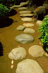 初夏の飛び石のある日本庭園風景
