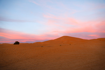 Fototapeta na wymiar Desert in Morocco - merzouga.