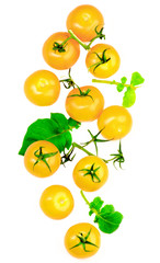 Fresh Yellow Tomatoes