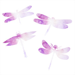 Fototapeta premium vector, white background, purple watercolor dragonfly silhouette fly