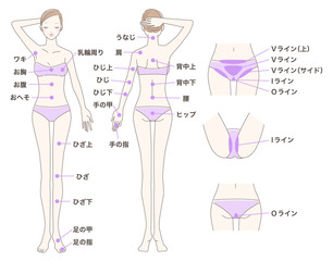 女性 脱毛 全身