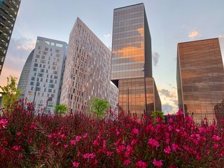 Skyscrapers in Barcelona during Sunset