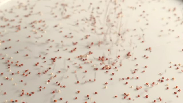 Red raw quinoa falling. Healthy and gluten free food background concept.