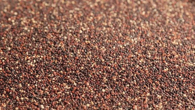 Black raw quinoa rotating, South American grain. Healthy and gluten free food concept background.