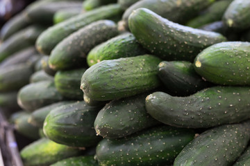 cucumbers on market counter in wicker basket