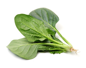 Spinach on white background