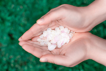 Two hands palms together holding flower petals in form of heart shape. Blurred green grass in background. Care, love concept