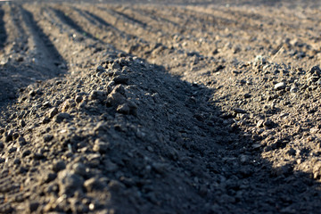 Soil furrow close up. Farming, agriculture, cultivating concept. Preparation for seeding