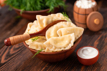 Homemade dumplings with sour cream and cottage cheese, green dill