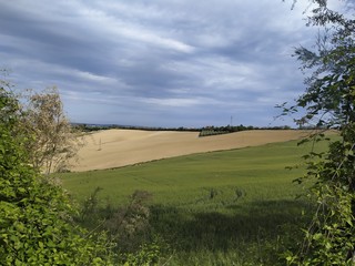 Obraz premium Campagna