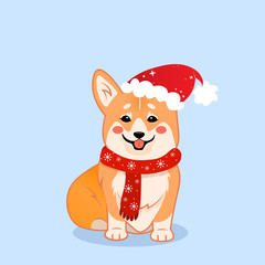 Cute sitting smiling Christmas corgi dog with Santa accessories vector cartoon illustration. Kawai corgi puppy print. Isolated on blue background