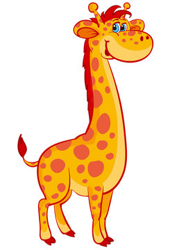 cute tall giraffe character, cartoon, isolated object on white background, vector illustration,