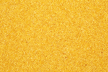 Millet yellow background