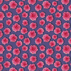 Seamless pattern with roses on a purple background. Colorful design with isolated pink flowers. Beautiful packaging design. Author's illustration. Bright seamless pink banner with flowers. 