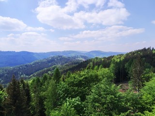 Fototapeta na wymiar Spring Forest Mountain View, Czech Republic
