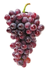 fresh grapes on white background.