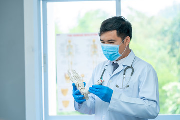 The doctor and the foot skeleton,Physiotherapist holding a skeleton foot model at hospital.