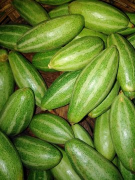 Pointed gourd ( Parwal )