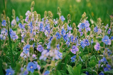 Processed with VSCO with g3 preset